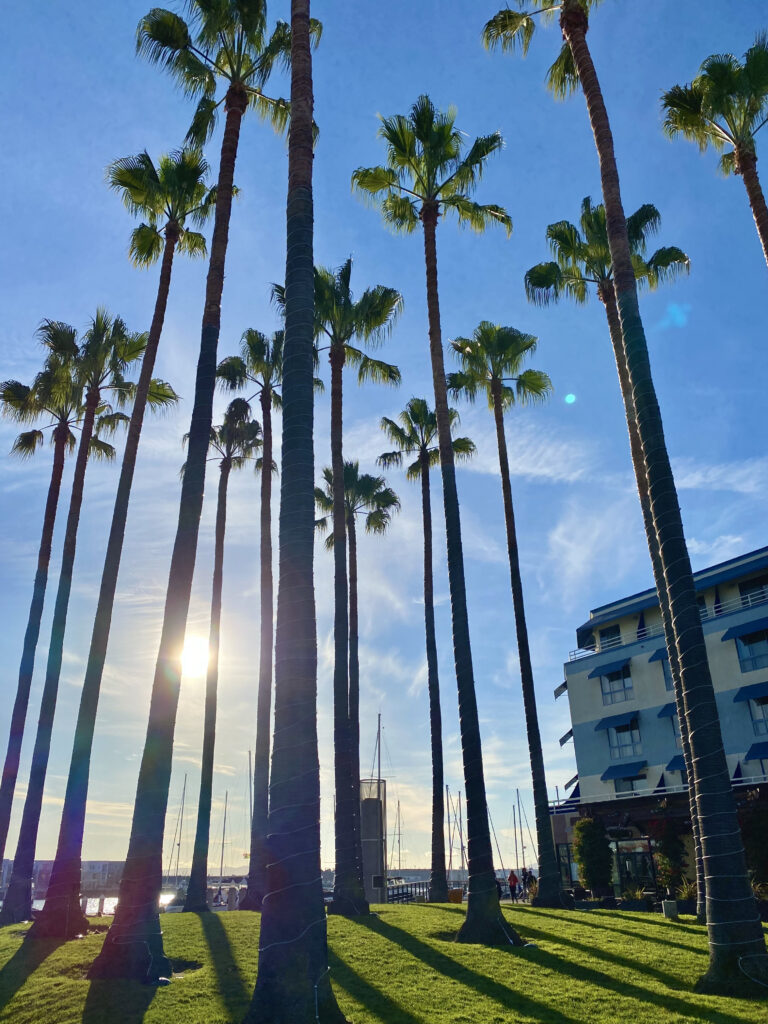 傑克倫敦廣場（Jack London Square）