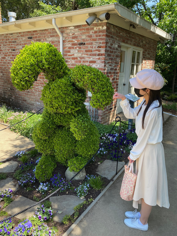 Gamble Garden rabbit