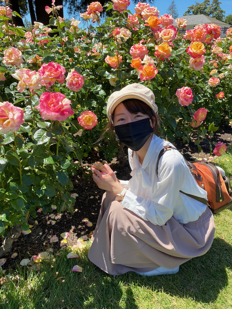 San Jose Rose Garden聖荷西玫瑰園
