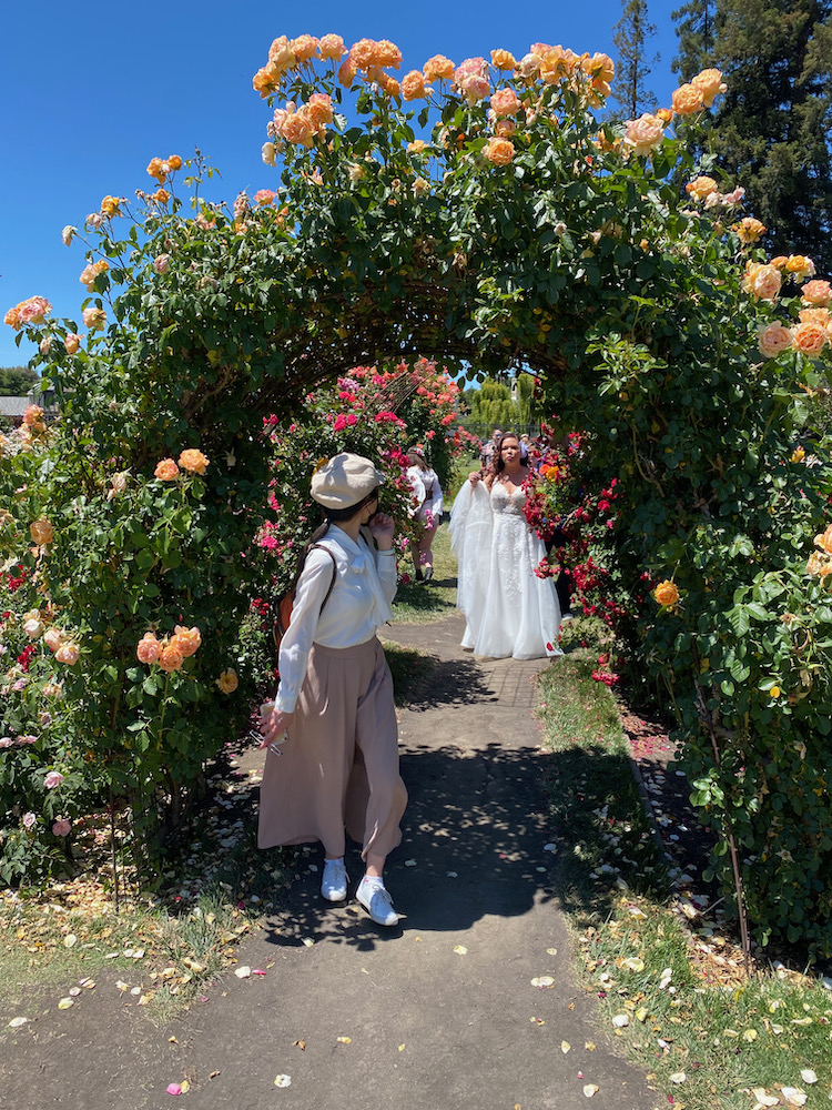 San Jose Rose Garden聖荷西玫瑰園