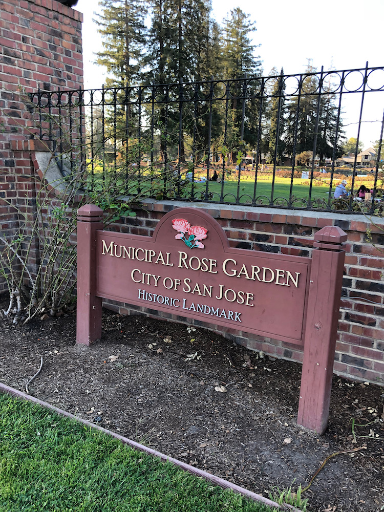 San Jose Municipal Rose Garden
