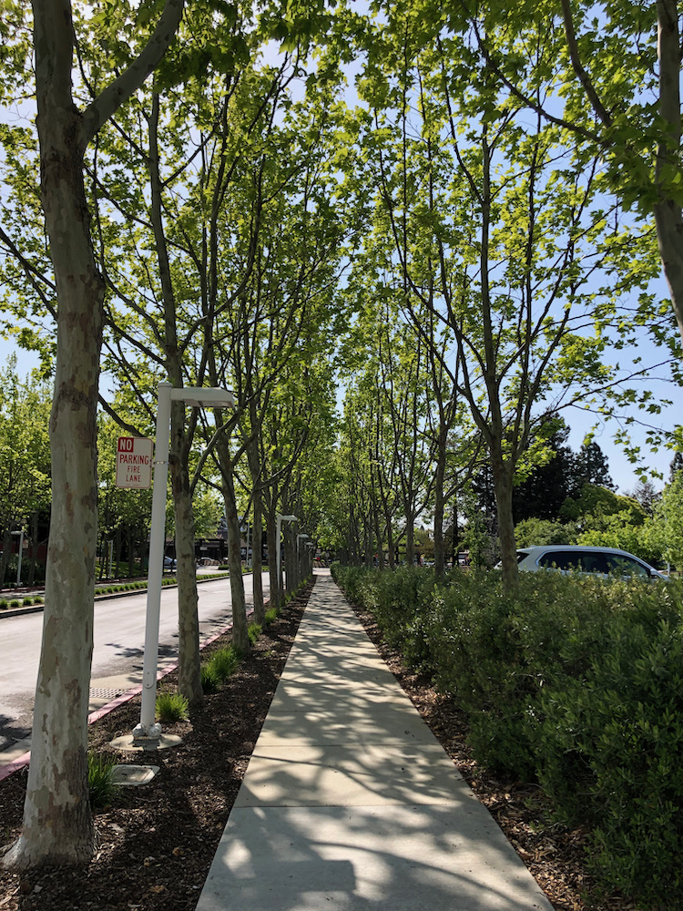 Apple campus