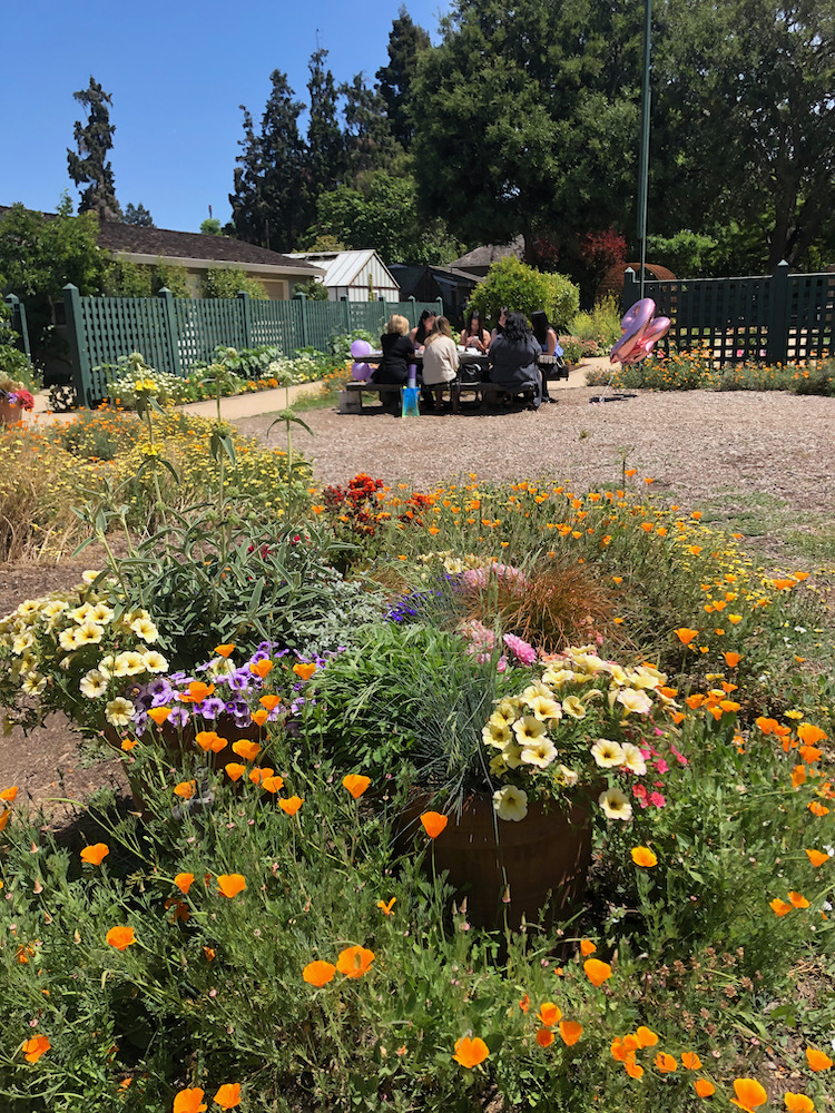 Gamble Garden