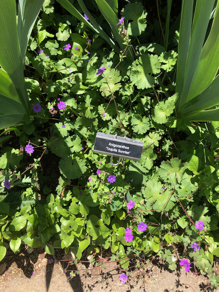 Gamble Garden
