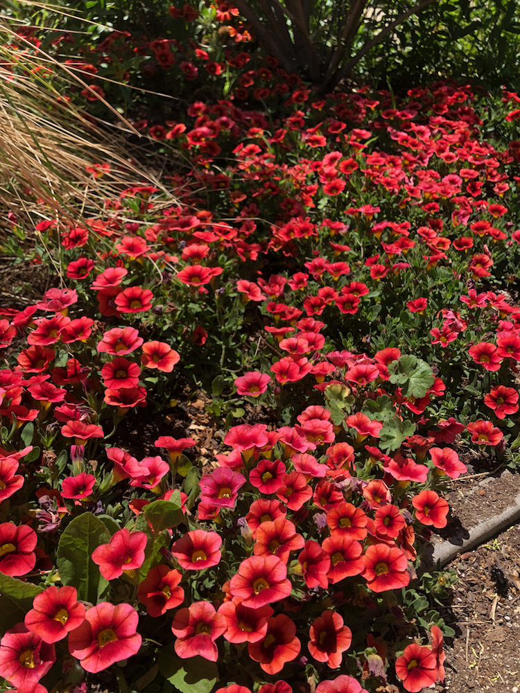 Gamble Garden