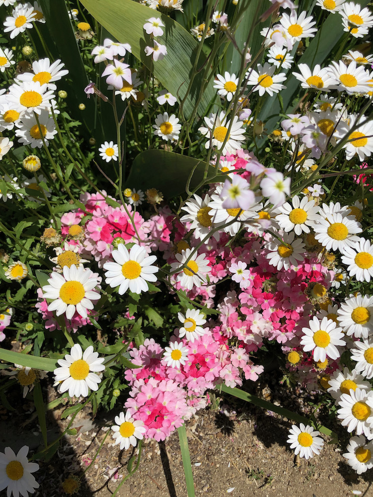 Gamble Garden