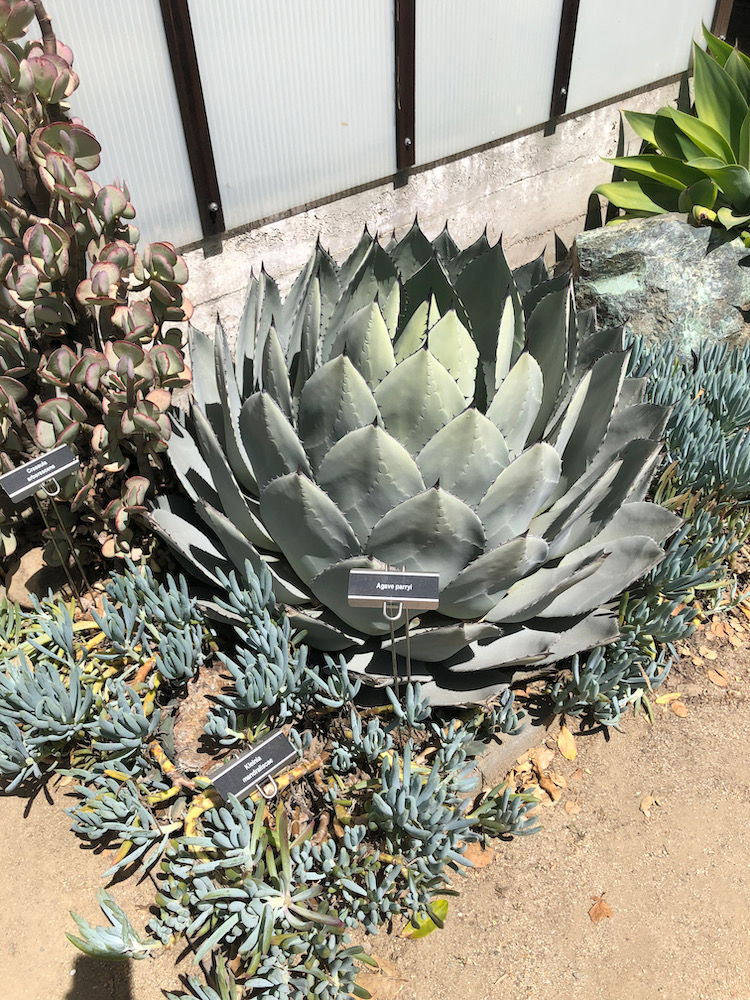 Gamble Garden