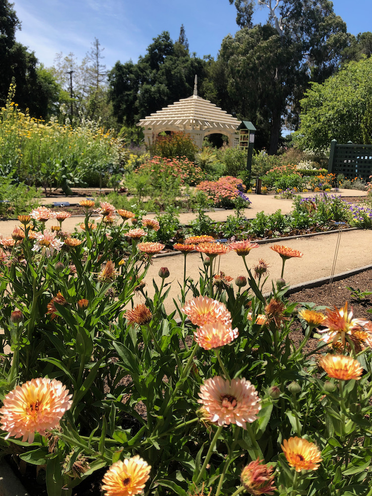 Elizabeth F. Gamble Garden
