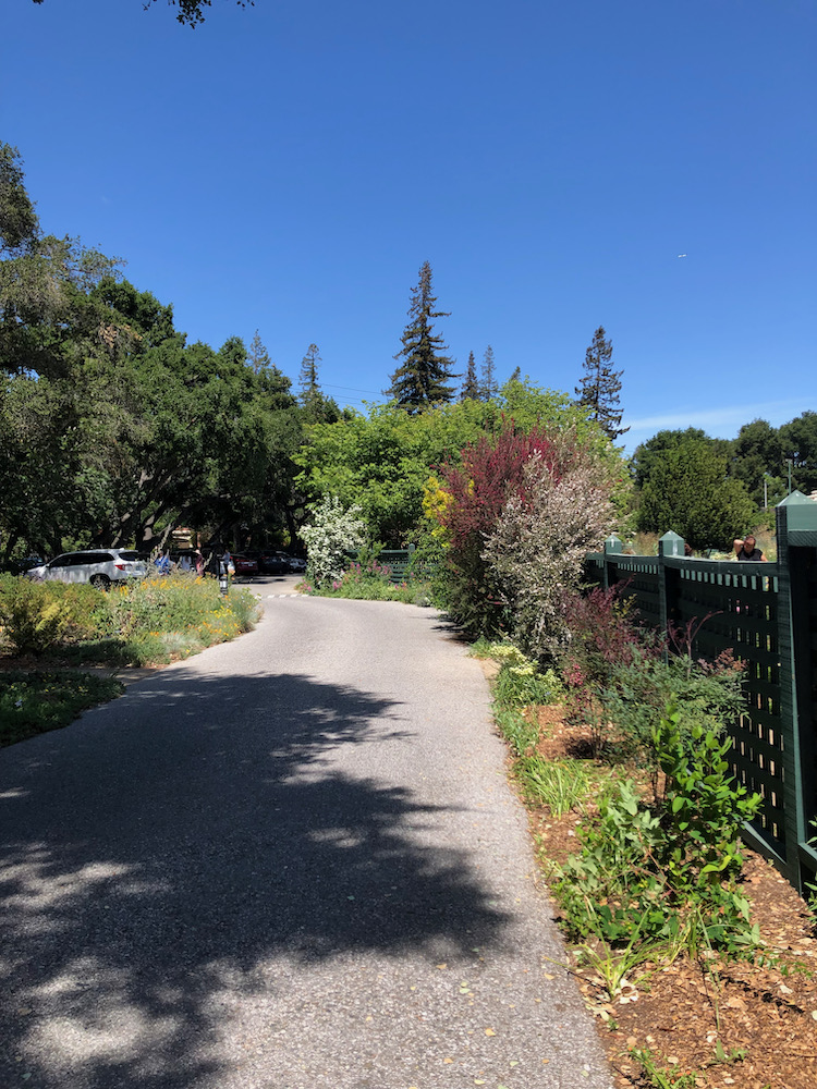 Elizabeth F. Gamble Garden park