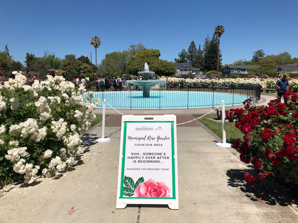 San Jose Rose Garden聖荷西玫瑰園