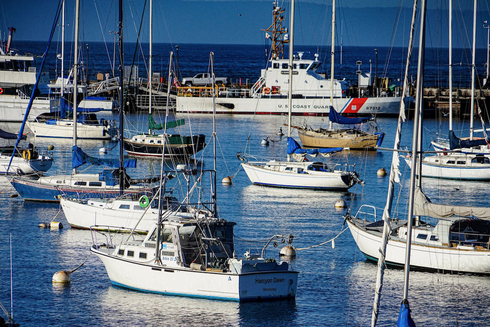 Old Fisherman's Wharf
