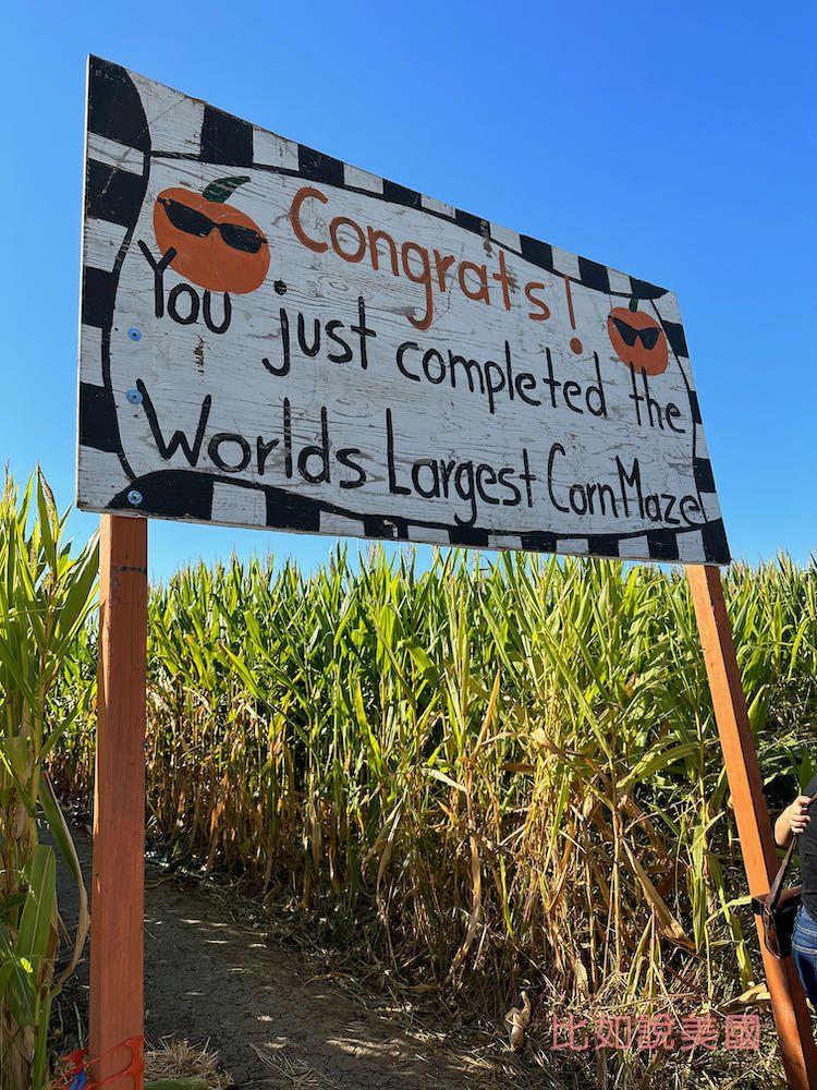 【北加州景點】Cool Patch Pumpkins&Corn Maze南瓜園和世界最大玉米田迷宮!北美Dixon旅遊 29 Cool Patch Pumpkins corn maze