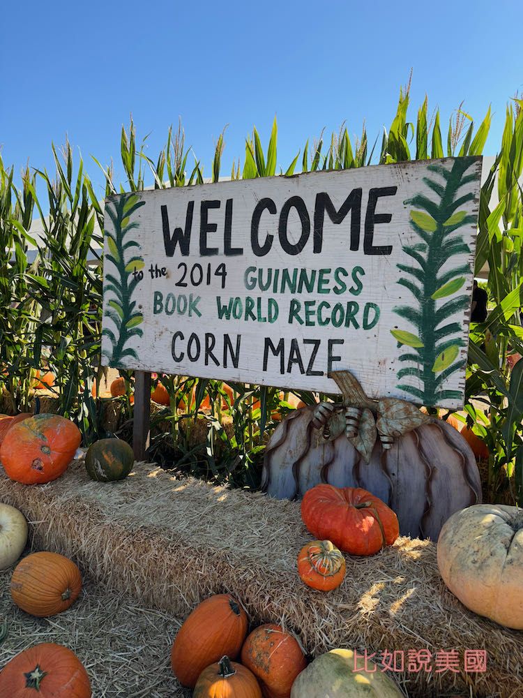 【北加州景點】Cool Patch Pumpkins&Corn Maze南瓜園和世界最大玉米田迷宮!北美Dixon旅遊 3 2014 world record corn maze