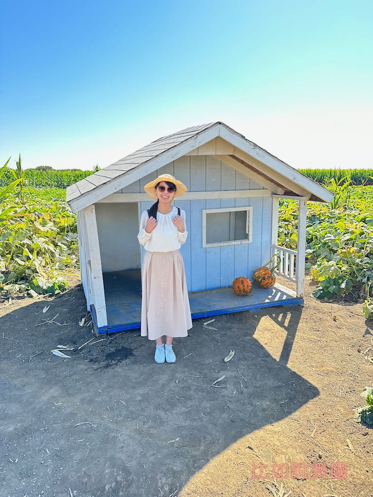 【北加州景點】Cool Patch Pumpkins&Corn Maze南瓜園和世界最大玉米田迷宮!北美Dixon旅遊 17 Cool Patch Pumpkins