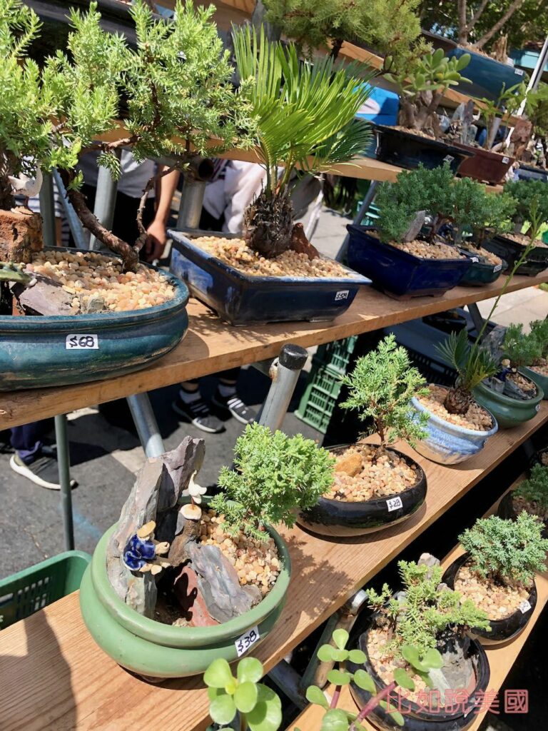 Fremont Festival of the Arts