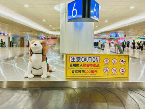 Read more about the article 【回台相關】出境太久沒回台灣會有哪些影響？戶籍被遷出怎麼辦？健保和國民年金會被退保嗎？