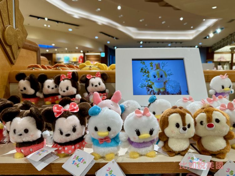 Read more about the article 【日本旅遊】東京迪士尼戰利品開箱！Disney超實用周邊、40週年限定紀念吊飾