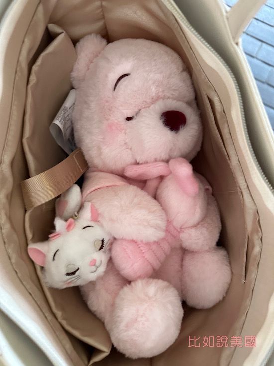 Disney東京迪士尼戰利品開箱