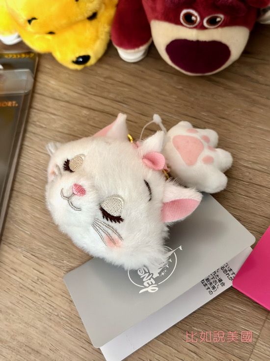 Disney東京迪士尼戰利品開箱