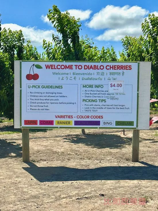 【北加州旅遊】Brentwood採櫻桃攻略|Diablo Cherries果園推薦及注意事項 4 Diablo Cherries Farm的說明看板
