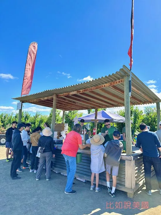 【北加州旅遊】Brentwood採櫻桃攻略|Diablo Cherries果園推薦及注意事項 9 Diablo Cherries Farm結帳處