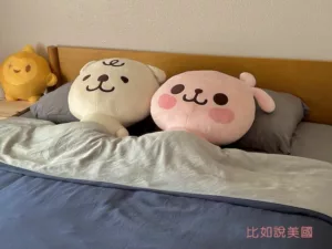 Read more about the article 【美國購物】Vesta Sleep寢具開箱！枕頭、床單、蠶絲被使用心得｜含美國寢具相關英文