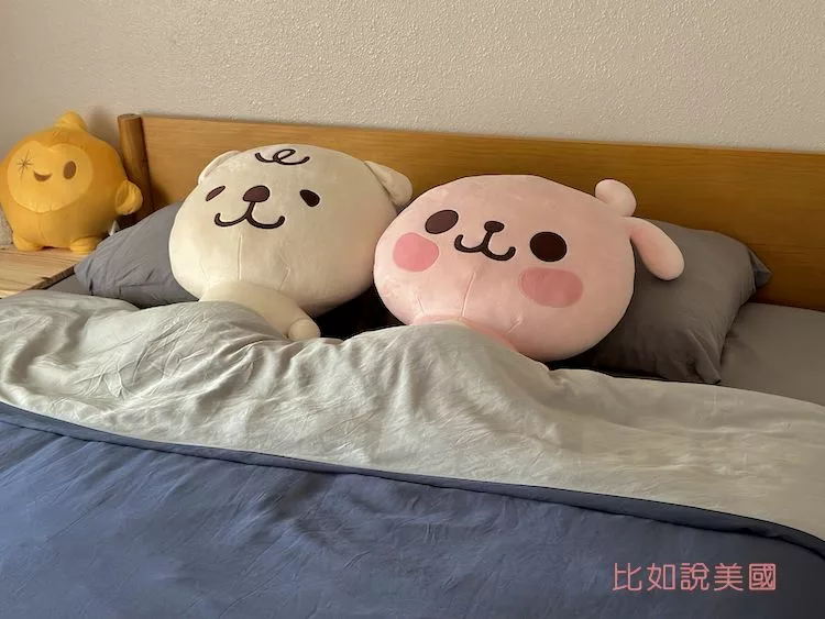 Read more about the article 【美國購物】Vesta Sleep寢具開箱！枕頭、床單、蠶絲被使用心得｜含美國寢具相關英文