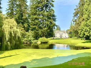 Read more about the article 【西雅圖近郊景點】Bloedel Reserve布洛德爾莊園｜Seattle必遊景點推薦