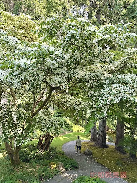 Bloedel Reserve布洛德爾莊園特色