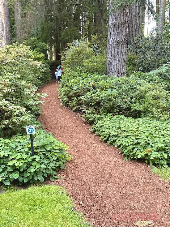Bloedel Reserve布洛德爾莊園蘭花步道入口