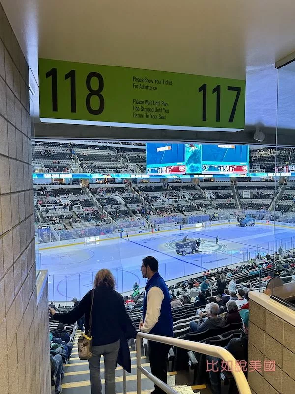 冰上曲棍球Ice Hockey入場