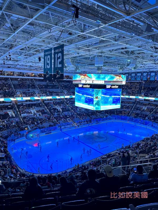 冰上曲棍球Ice Hockey球員進場