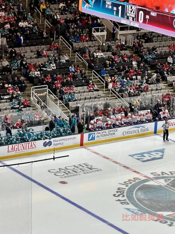 冰上曲棍球Ice Hockey