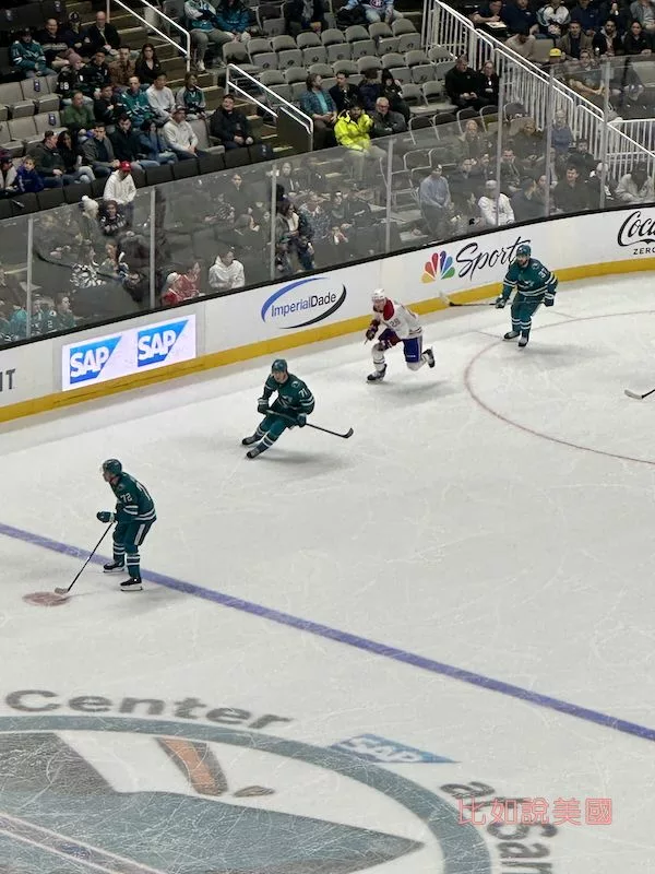 冰上曲棍球Ice Hockey