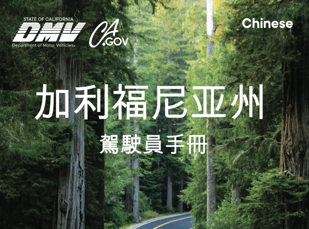 加州駕照筆試準備