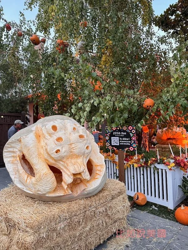 灣區萬聖節Palo Alto Trick or Treat yahoo梅姨家