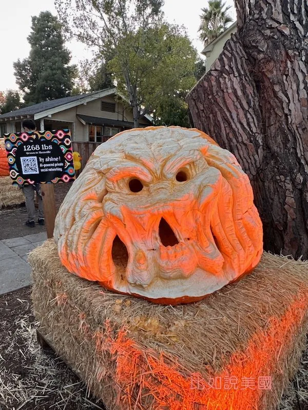 灣區萬聖節Palo Alto Trick or Treat yahoo梅姨家