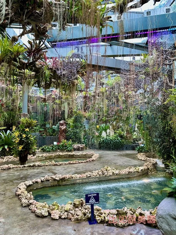 奇幻花園Floral Fantasy