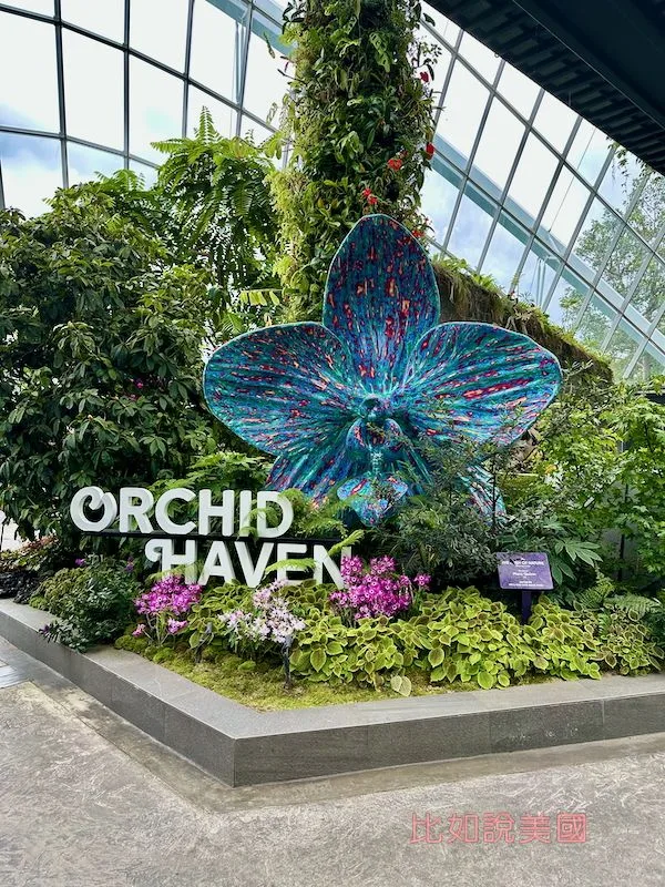 雲霧森林Cloud Forest