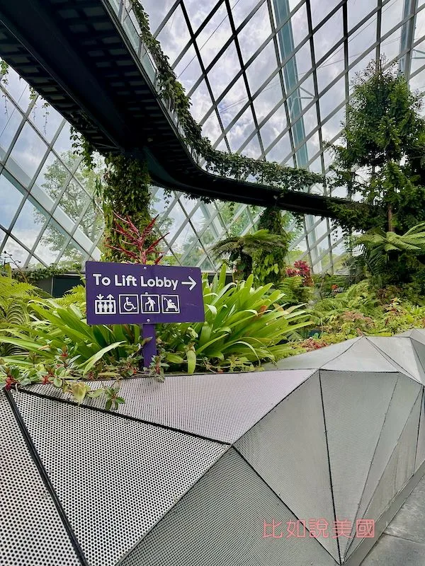 雲霧森林Cloud Forest