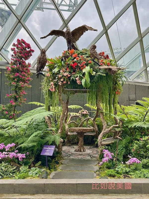 雲霧森林Cloud Forest