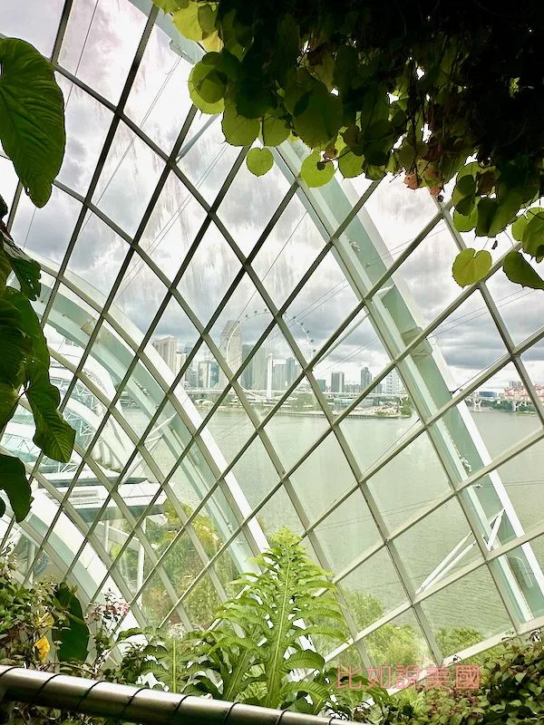 雲霧森林Cloud Forest