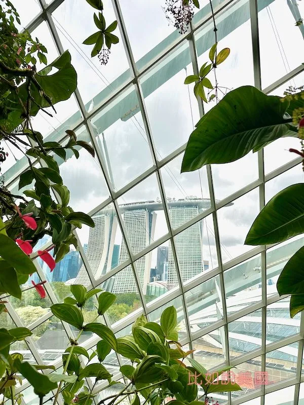 雲霧森林Cloud Forest
