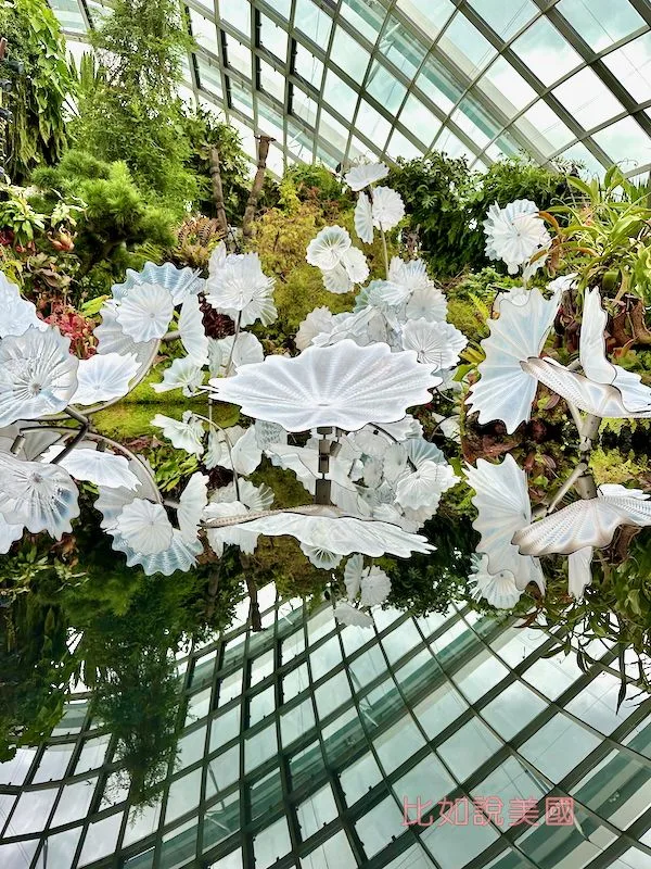 雲霧森林Cloud Forest