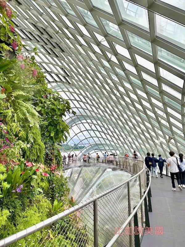 雲霧森林Cloud Forest