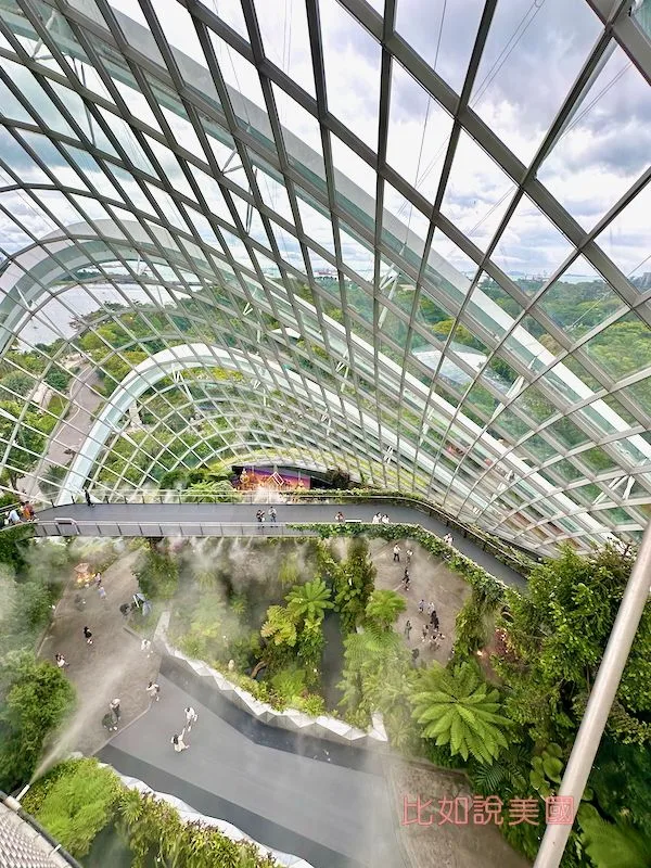 雲霧森林Cloud Forest