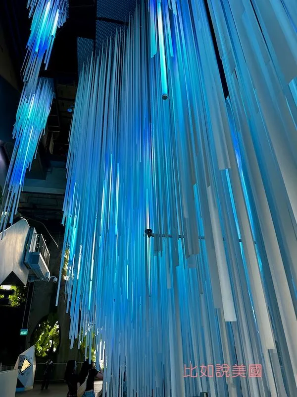 雲霧森林Cloud Forest