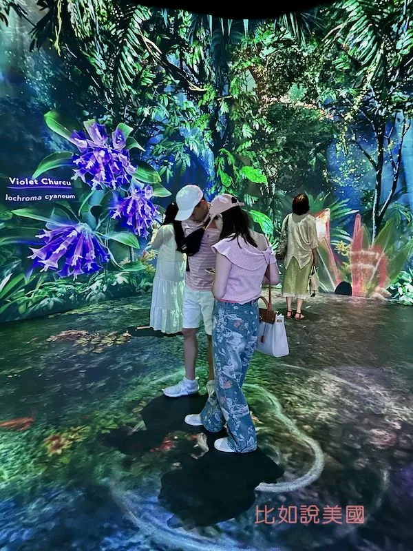 雲霧森林Cloud Forest