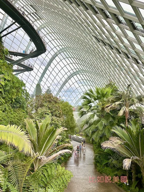 雲霧森林Cloud Forest