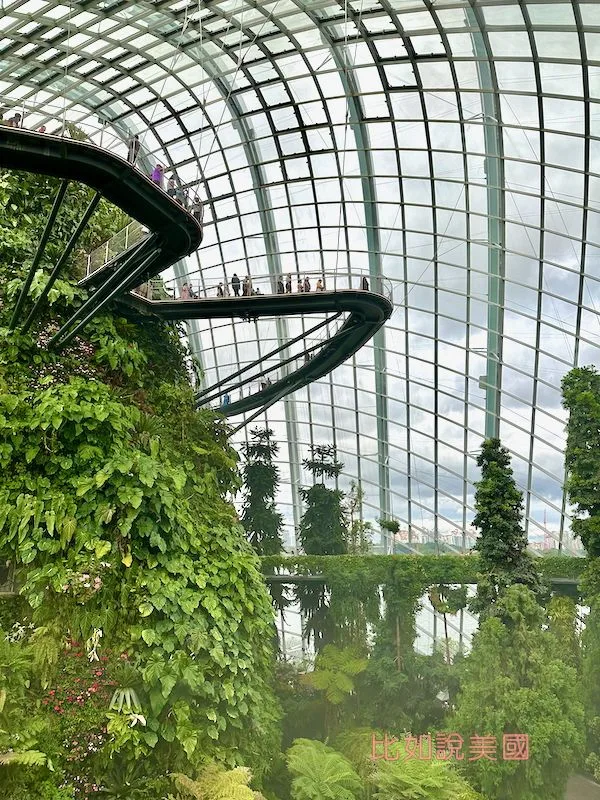 雲霧森林Cloud Forest